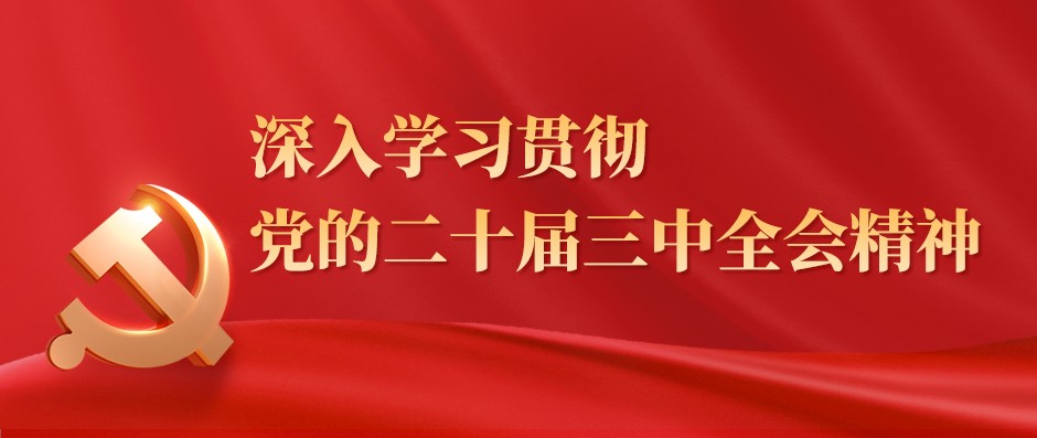 河北省水渠科技有限公司深入學(xué)習(xí)貫徹黨的二十屆三中全會(huì)精神